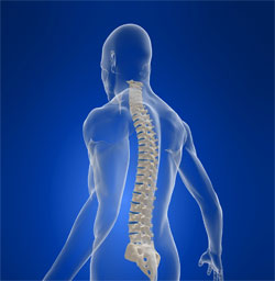 Appleton Chiropractic, Why Choose Chiropractic