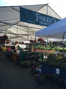 Eating well, thinking well, Moving well , and taking care of our spine and nervouse system are all essential peices of a well rounded health plan.  We love Foley's Produce stand across from the Cedar River Trail head in Maple Valley.  http://foleysproduce.com/ 