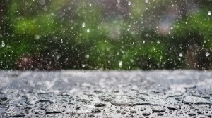 blog-rain-or-shine