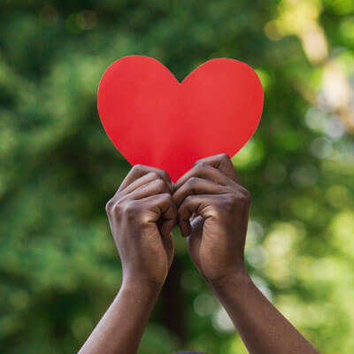 person holding a heart share in their hands